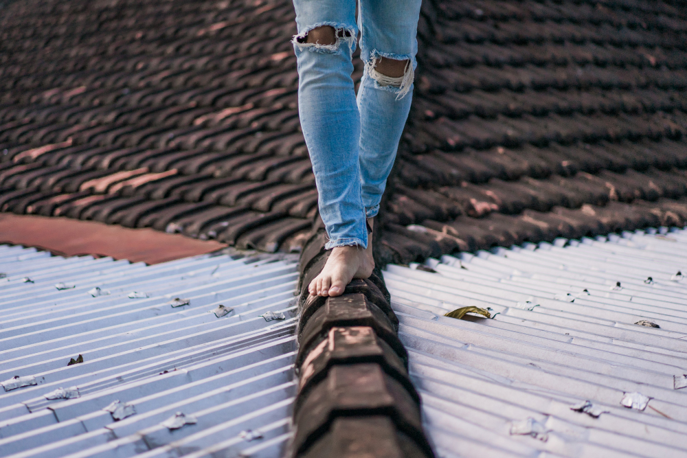 Early Warning Signs of Roof Damage Every Homeowner Should Recognize