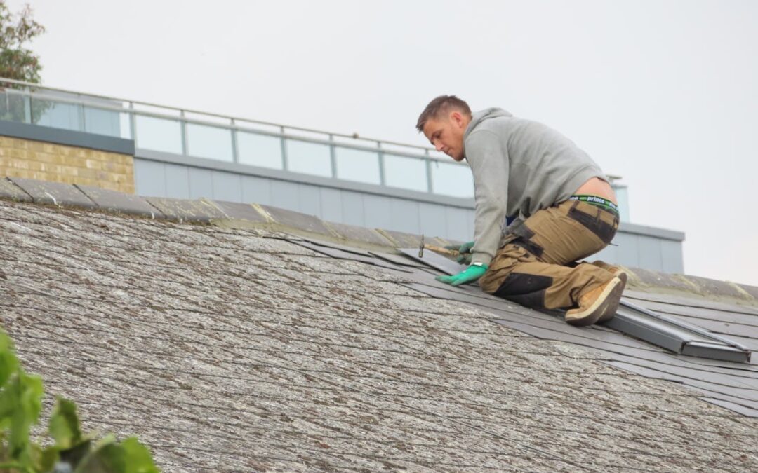 Roofing Repair Contractor for Your Next Project