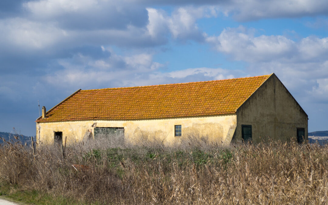 How Small Roof Problems Turn into Major Home Damage